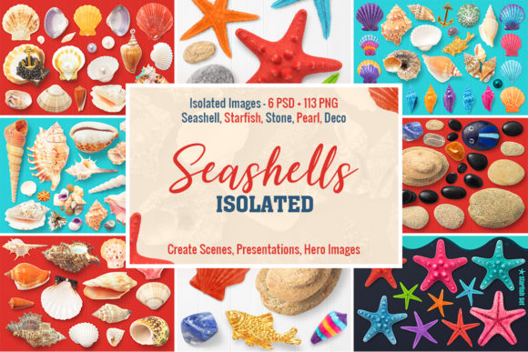 Isolated Seashells Stones: A Versatile Resource for Creative and Professional Design