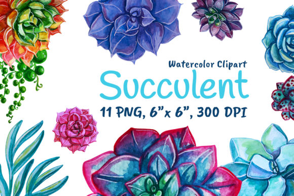 Succulents Watercolor Rose Pink Plants