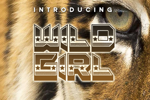 Wild Girl: A Bold and Modern Decorative Font for Impactful Design